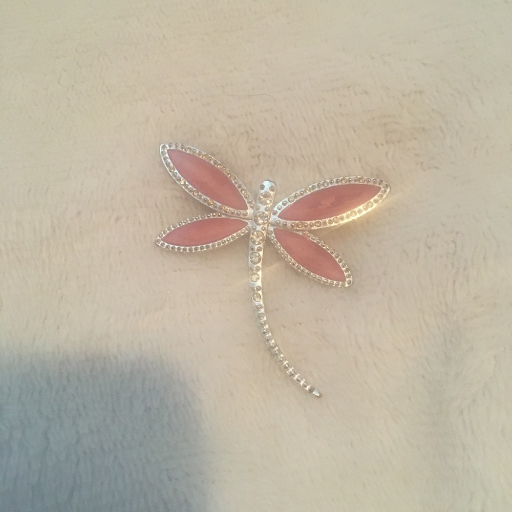 Dragonfly broach